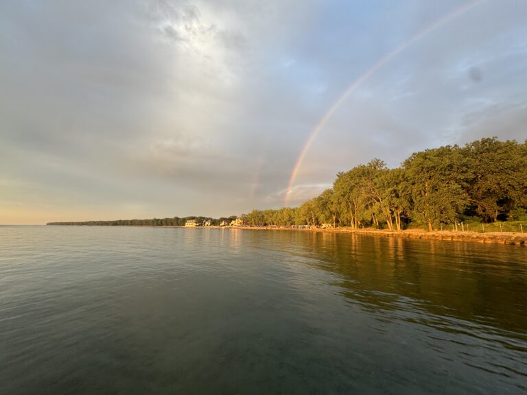 Unlocking the Healing Power of the Outdoors in 2024